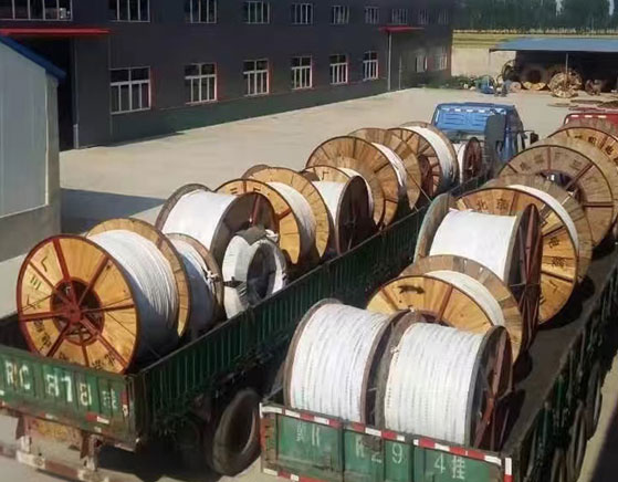 选择我们的理由下边图