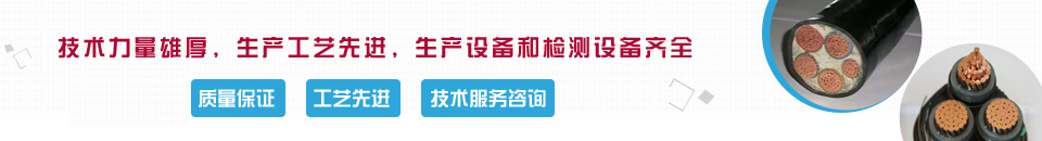 公司新闻上边大图